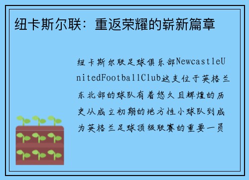纽卡斯尔联：重返荣耀的崭新篇章