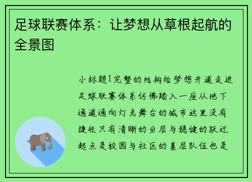 足球联赛体系：让梦想从草根起航的全景图